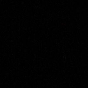 Meet your Posher, Bailey